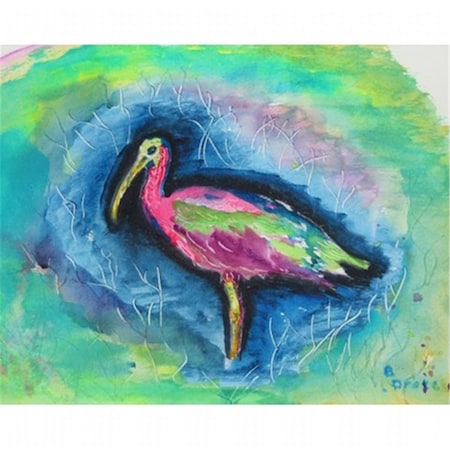 Betsy Drake Glossy Ibis Place Mat, 4PK PM439